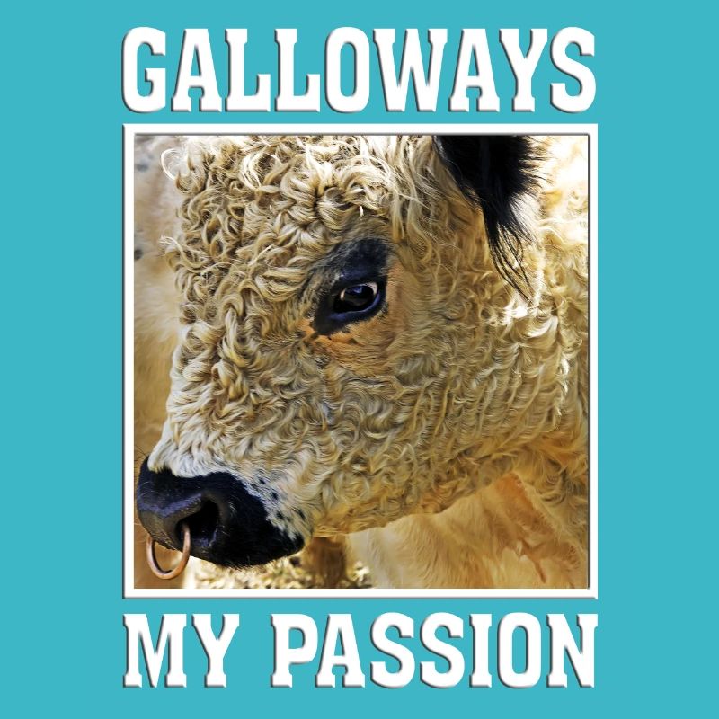 galloway / galloways / schottland / passion