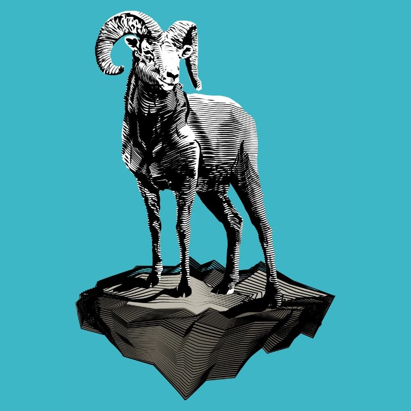 Widder - Aries -Tierkreiszeichen - Sternzeichen