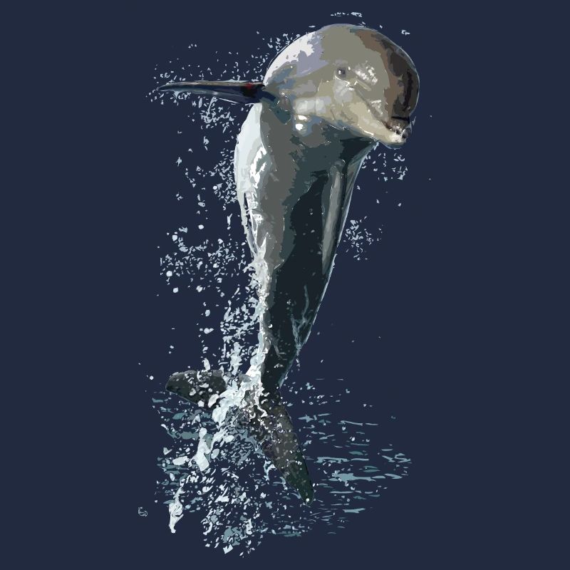 dolphin