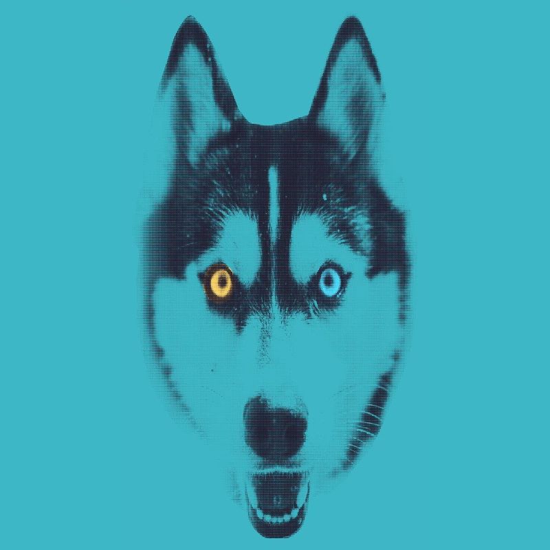 HUSKY
