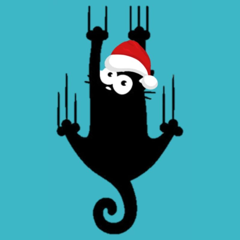 christmas cat