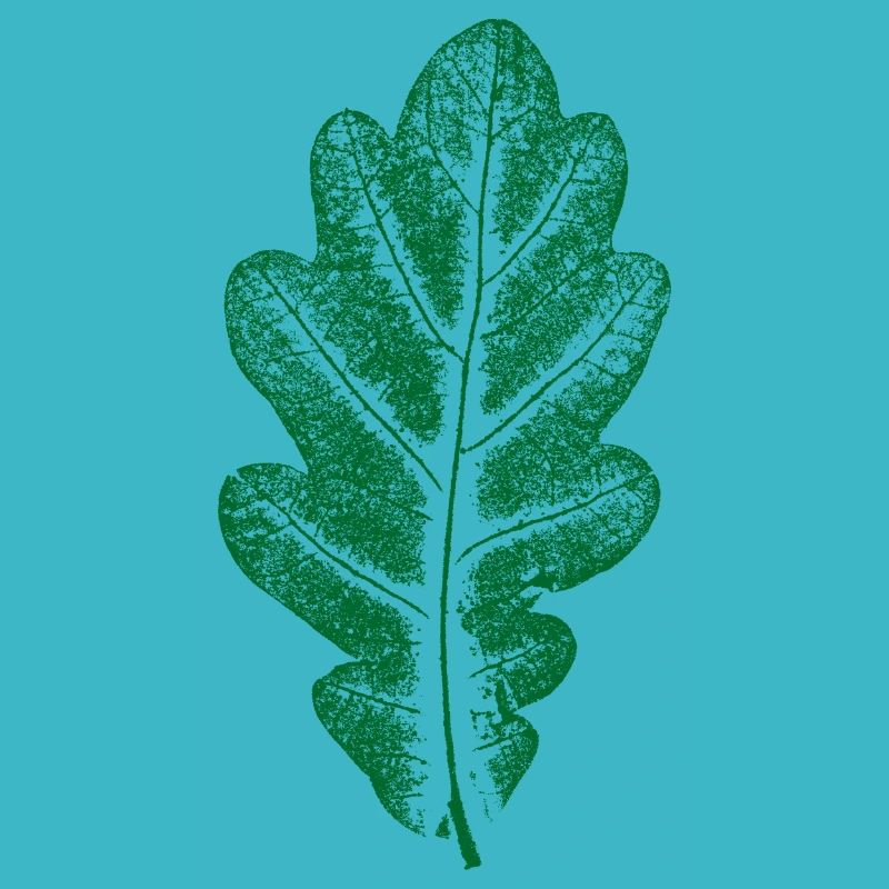 Oak Leaf Green - Monocolor - Leaf/Oak/ Tree