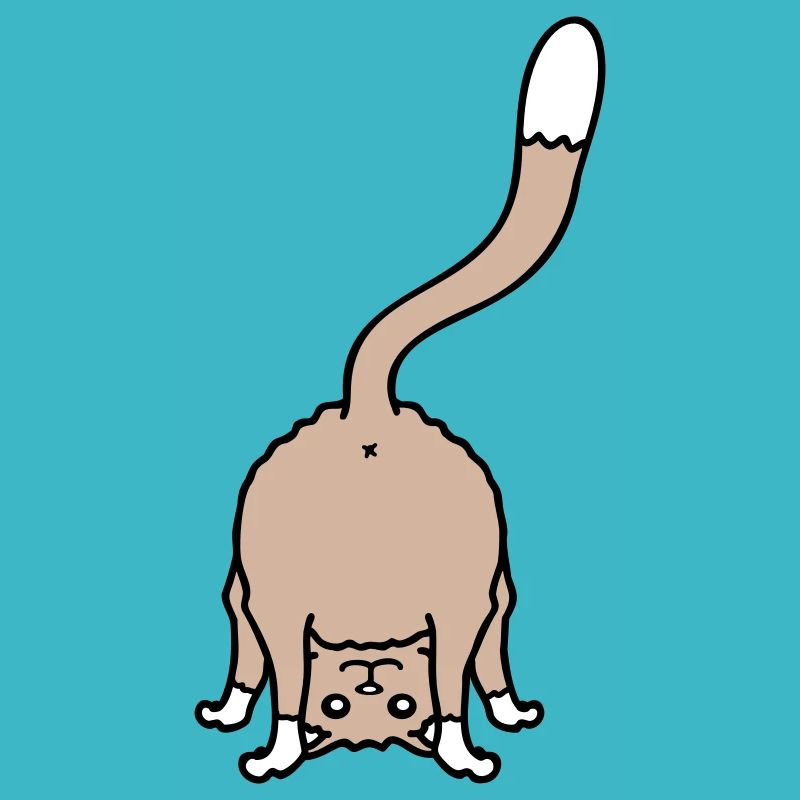 Funny Cat From Behind Shows Backside Ass Fun