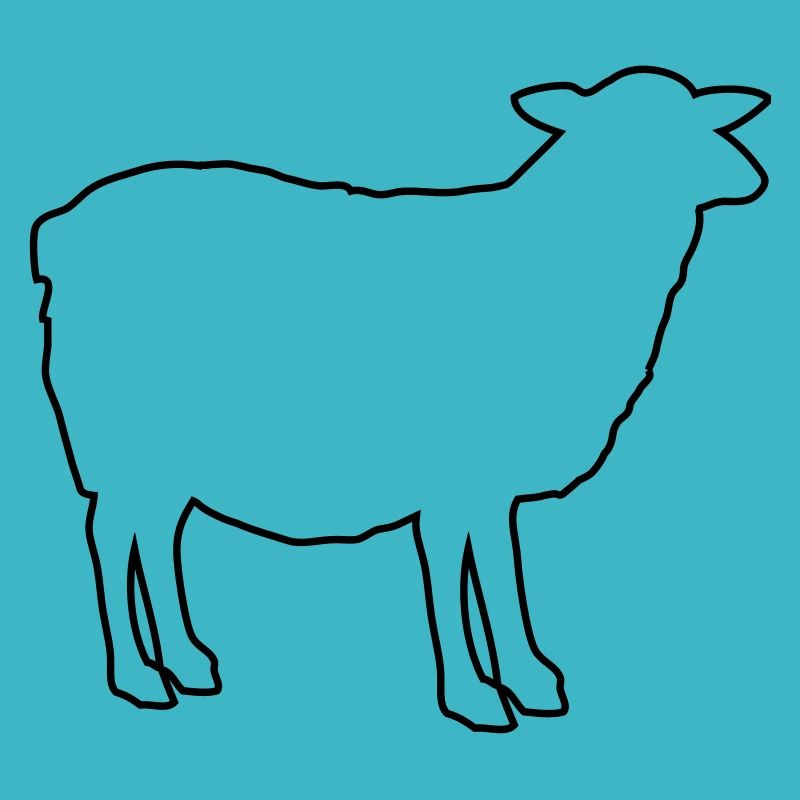 sheep