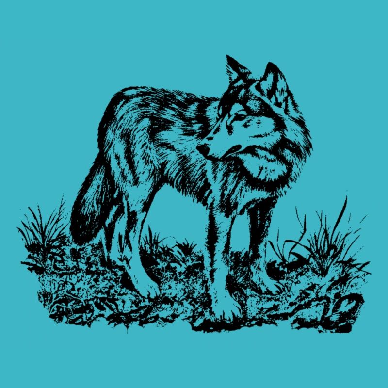 Wolf (schwarz)