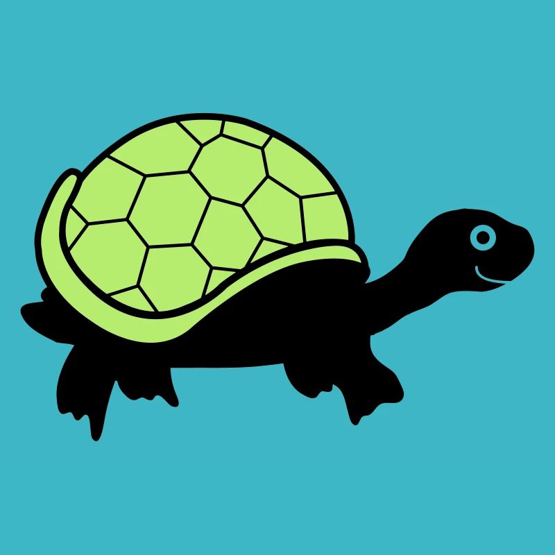 turtle