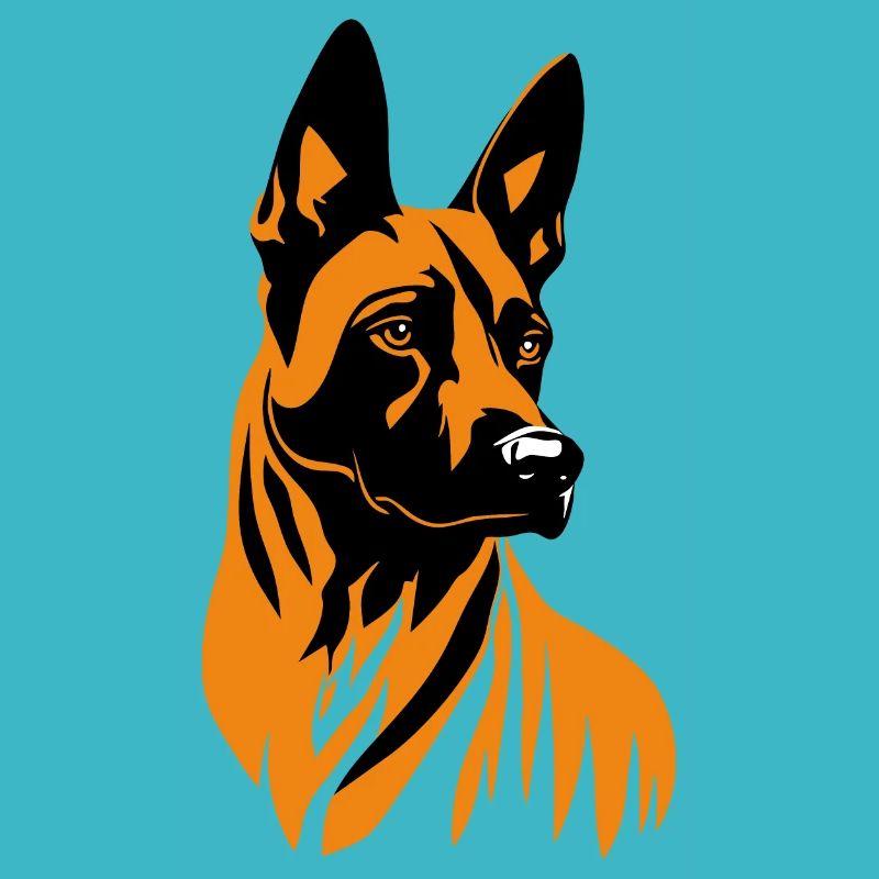 Belgian Malinois Portrait Belgischer Schäferhund