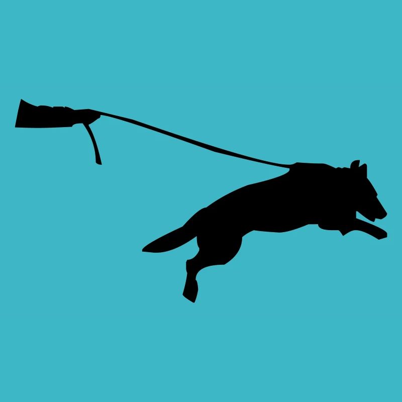 chien en laisse