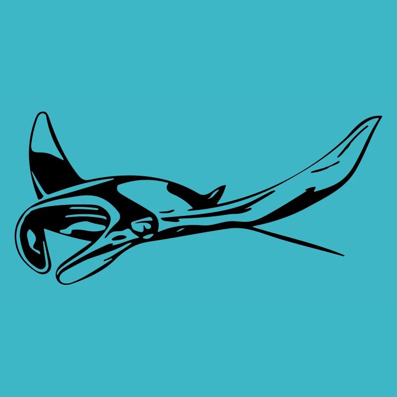 Manta Rochen