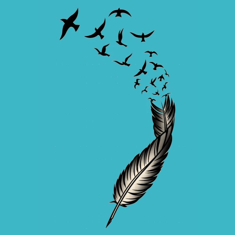 plume avec des oiseaux