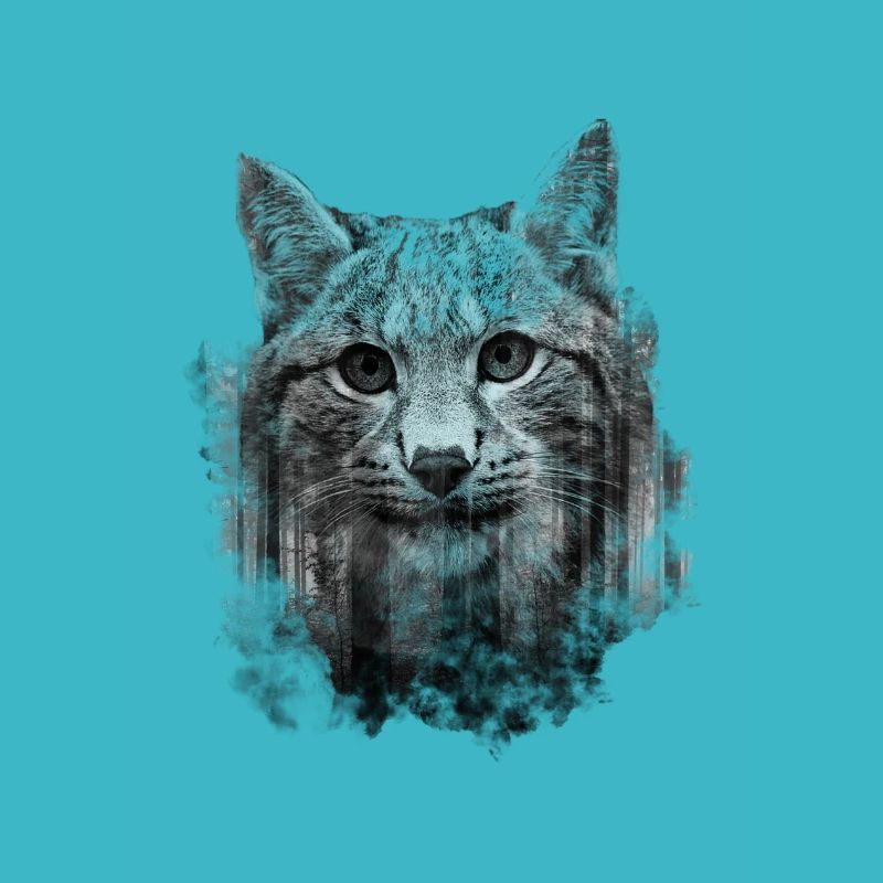 Chat Lynx - Design d’exposition double cool