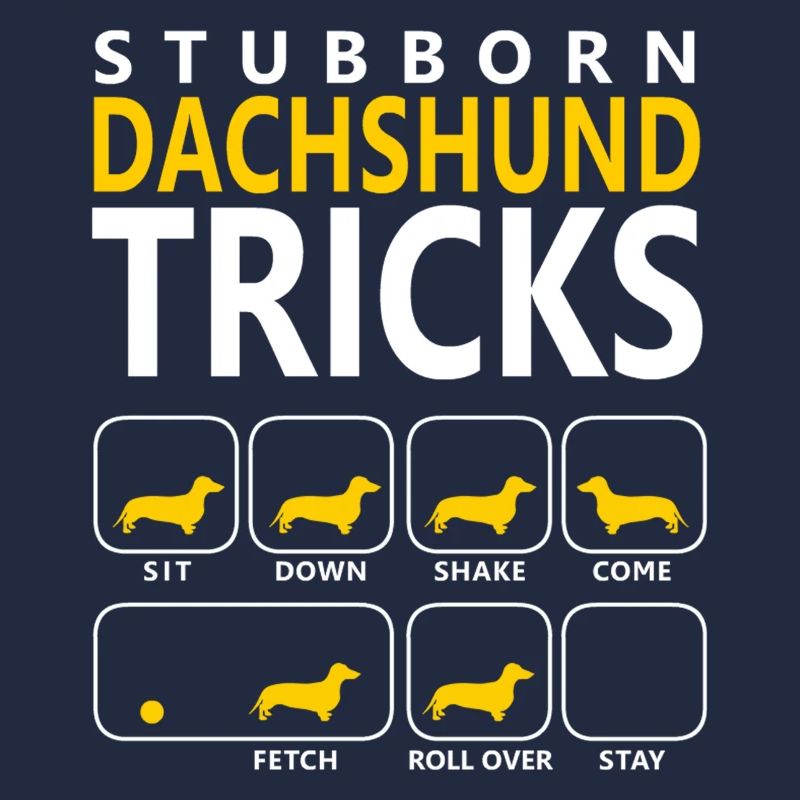 Hartnäckige Dackel-Tricks
