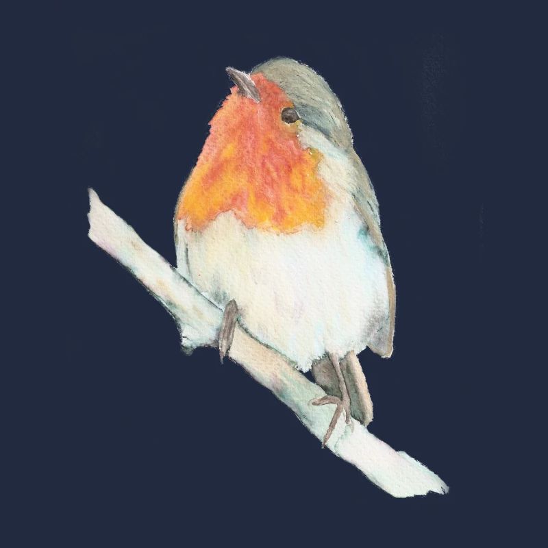 rouge-gorge