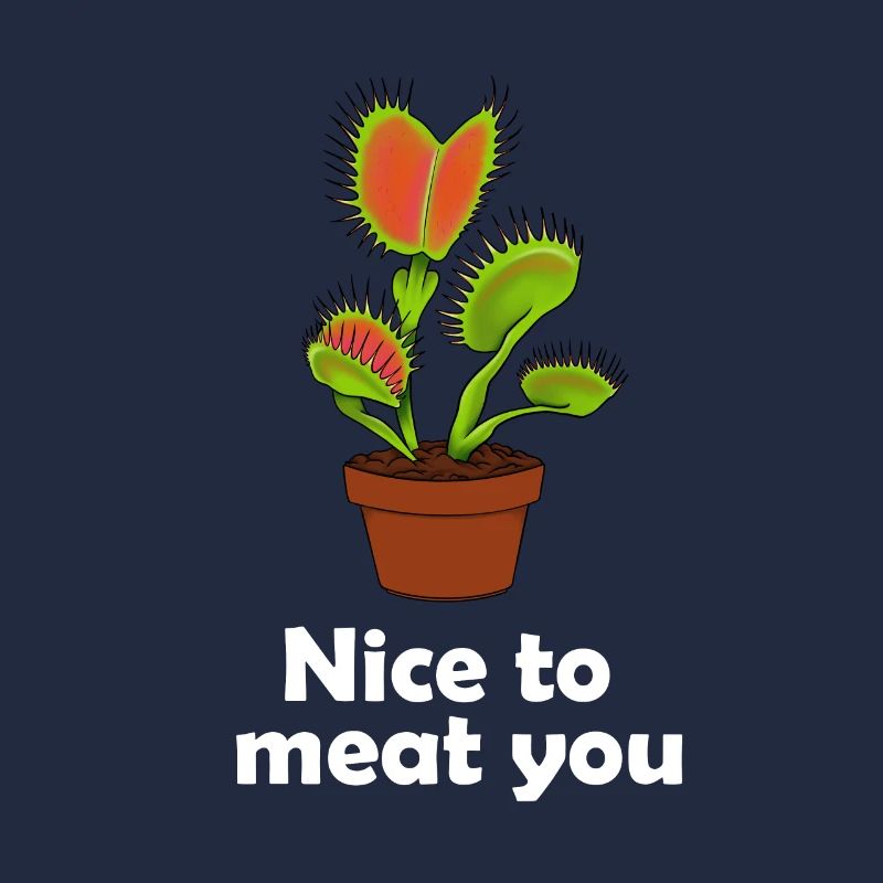 Venus flytrap plante carnivore cadeau