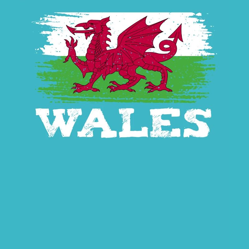 Le drapeau du Pays de Galles abrite le sport d'équipe Cymru