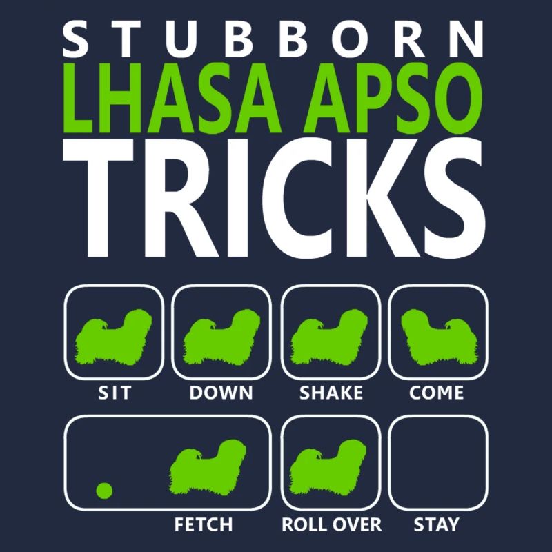 Hartnäckige Lhasa Apso Tricks