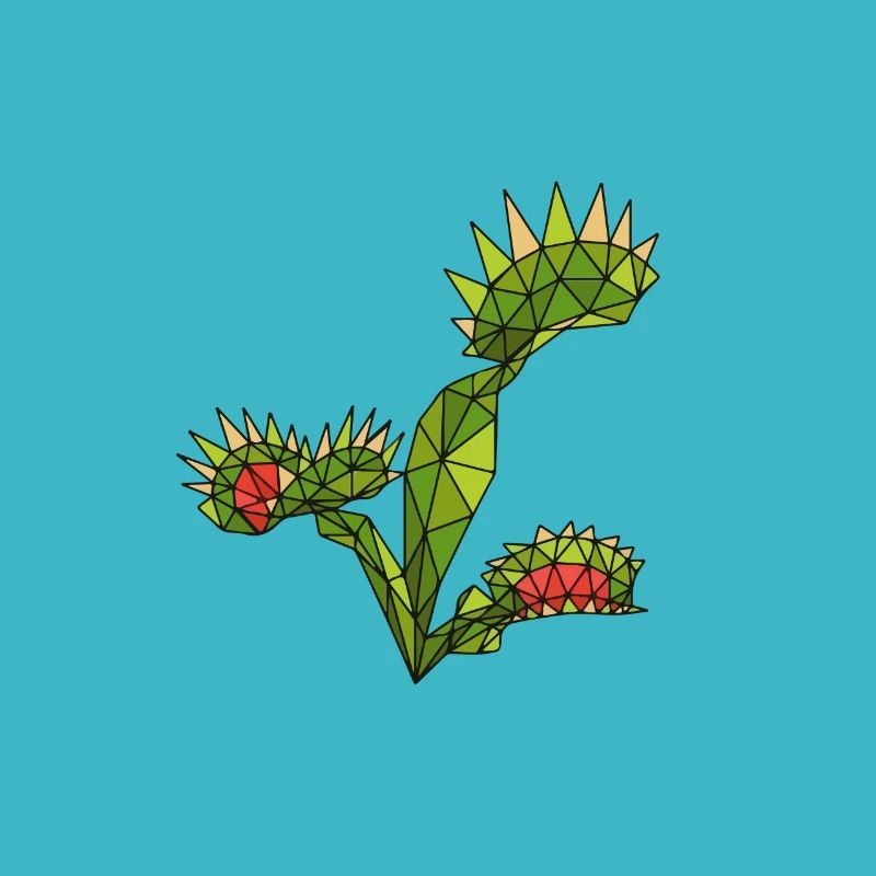Carnivorous Plants Venus Flytrap