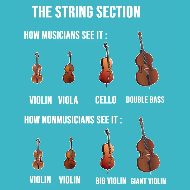 String Section City Conductor Gift