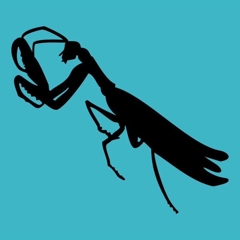 Gottesanbeterin / mantis (1c)