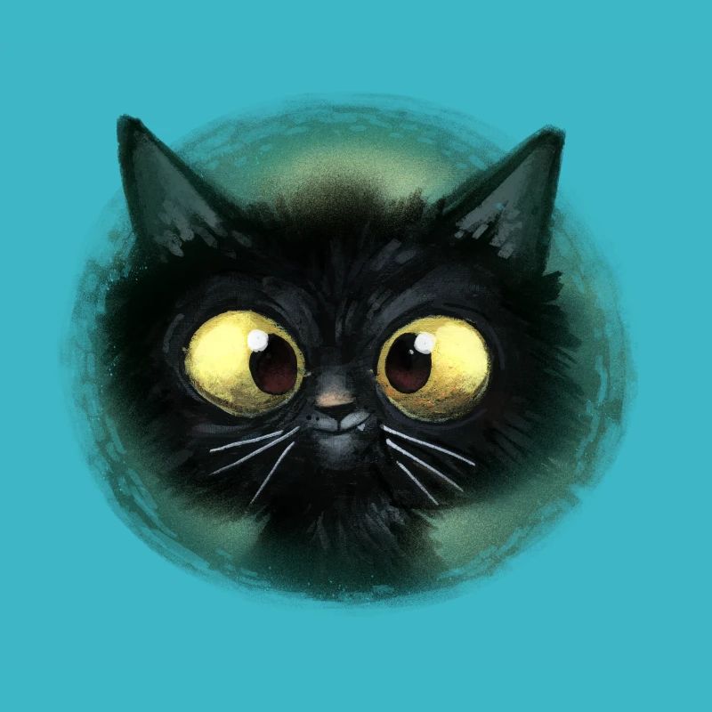 Adorable chaton noir