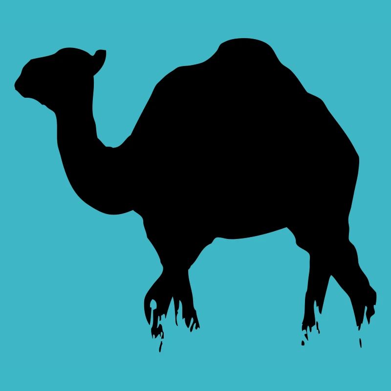 Dromedar - Camel