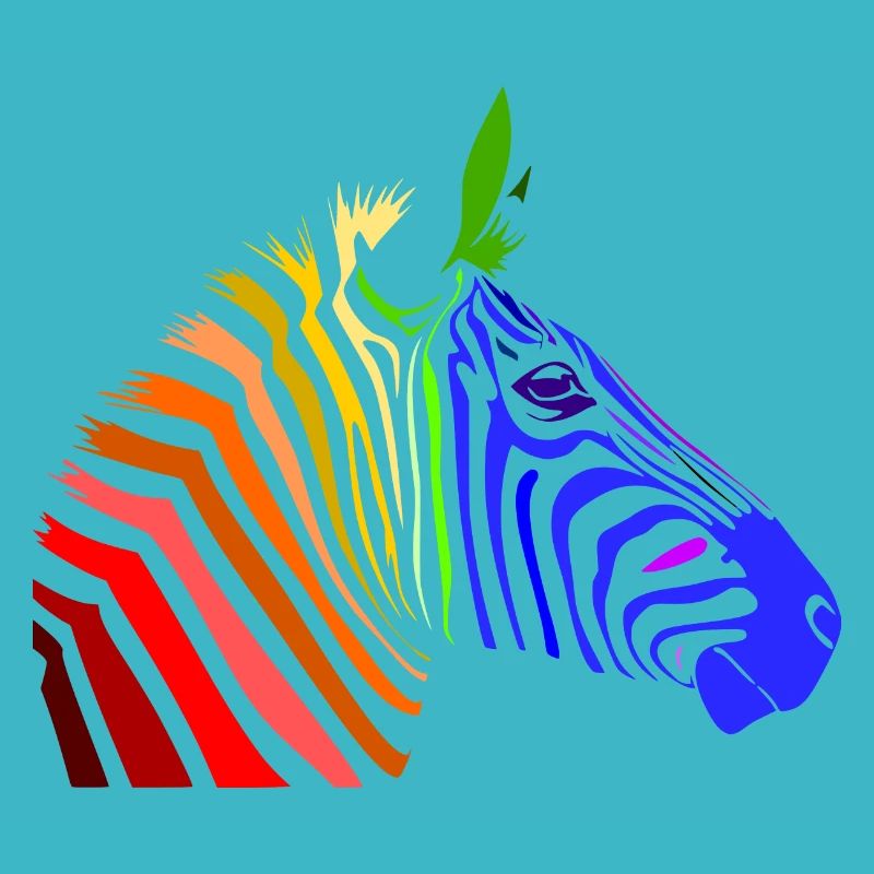 Zebra; Punk Zebra; Rainbow Zebra