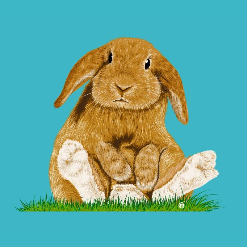 Bunny!
