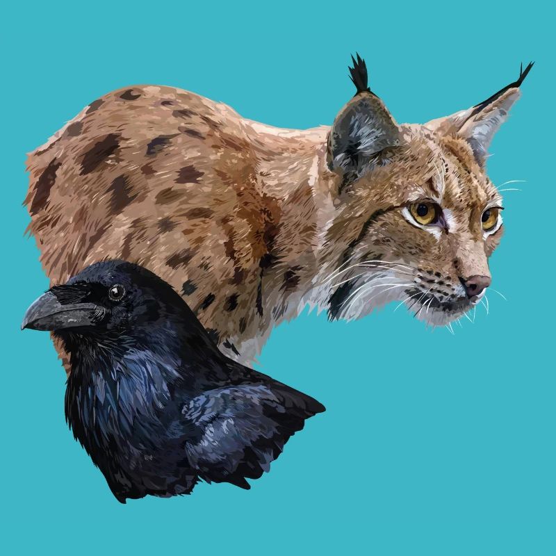 Lynx and crow