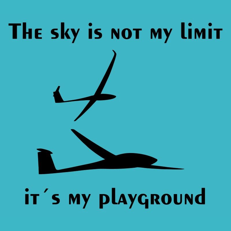 Planeur Planeur Planeur Planeur Pilote