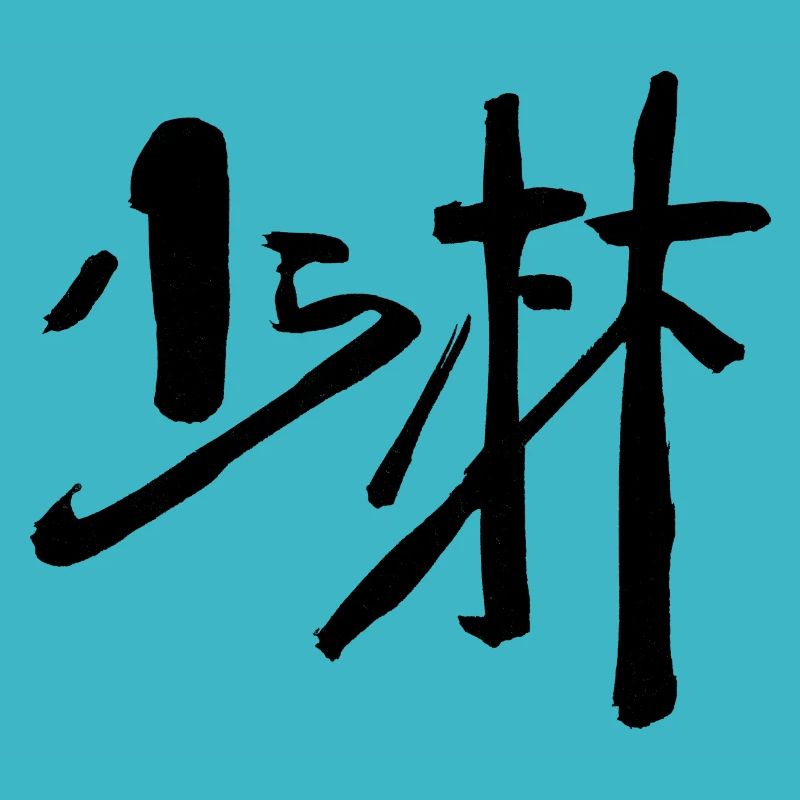 Shaolin (Chinesisch) - KUNGFU
