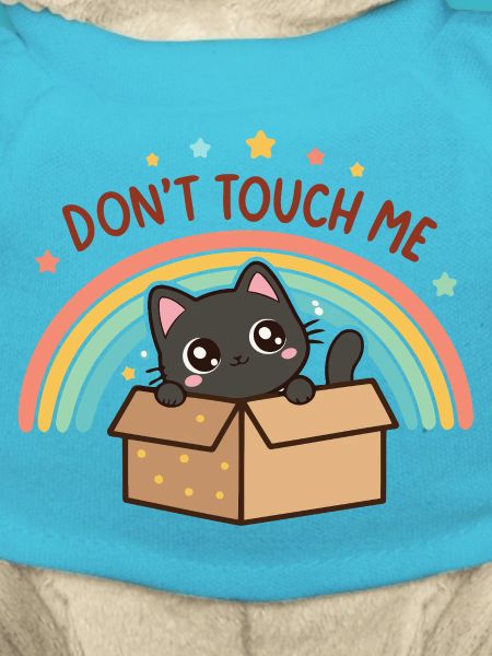 Shy Cat in Rainbow Box