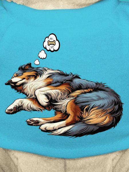 Australian Shepherd Aussie Aussiebesitzer Aussies