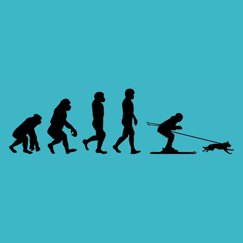 Chien Skijoring Ski Sport d’hiver Evolution