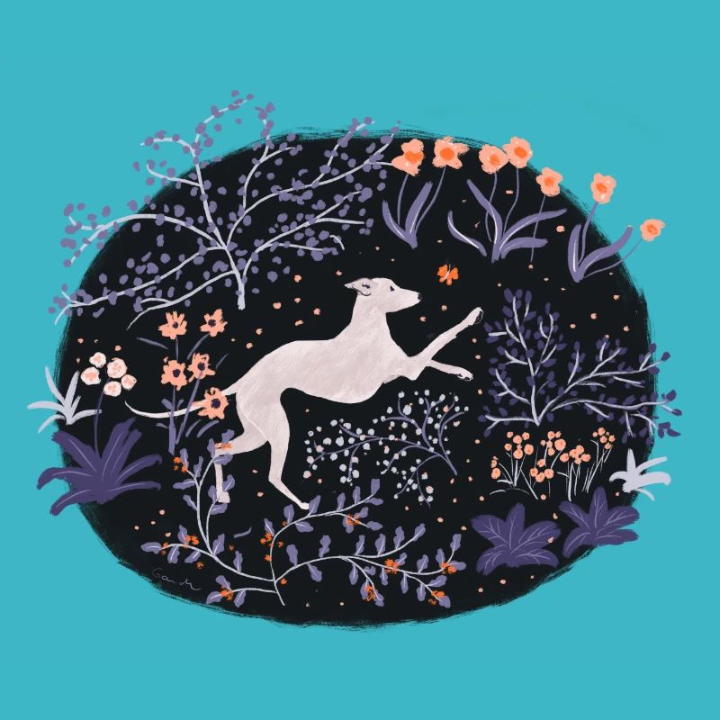 Greyhound dans la forêt de rêve