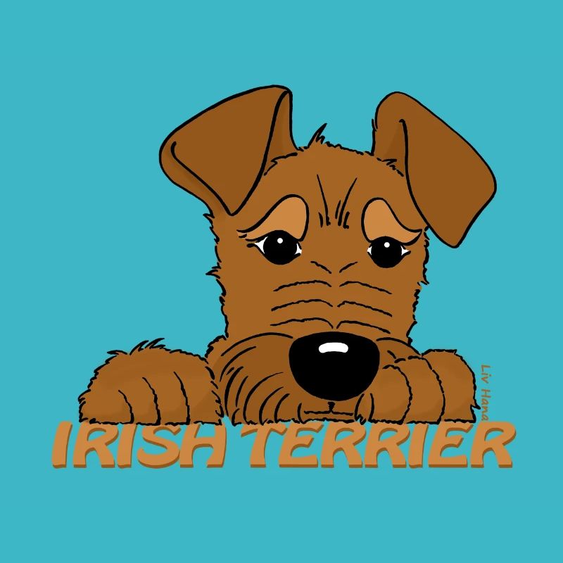 Irish Terrier Kopf