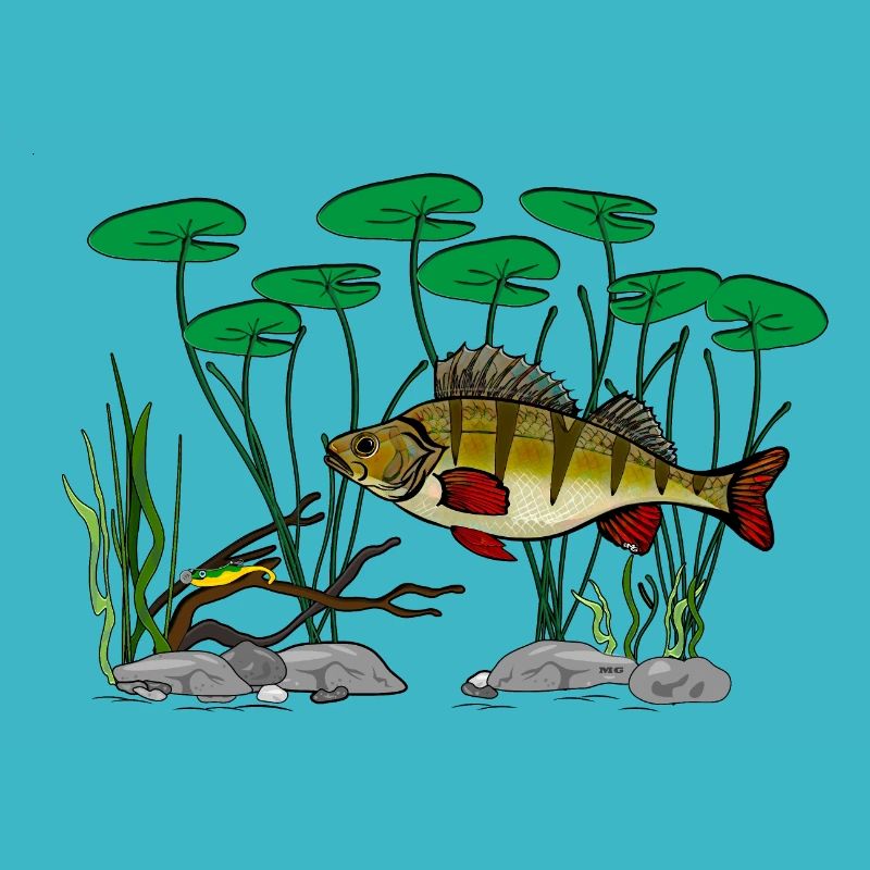 Barschfischen