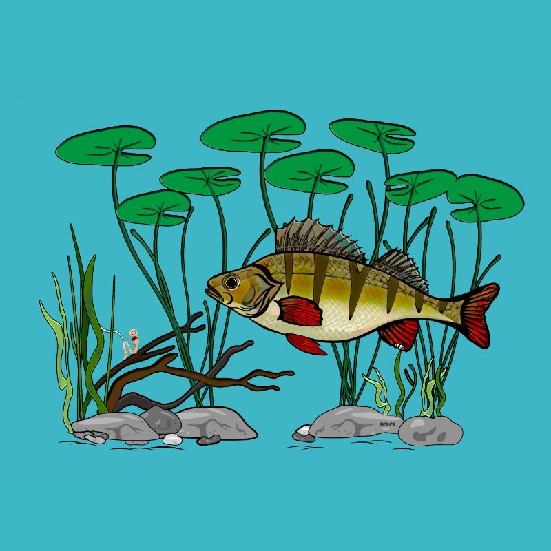 Barschfischen