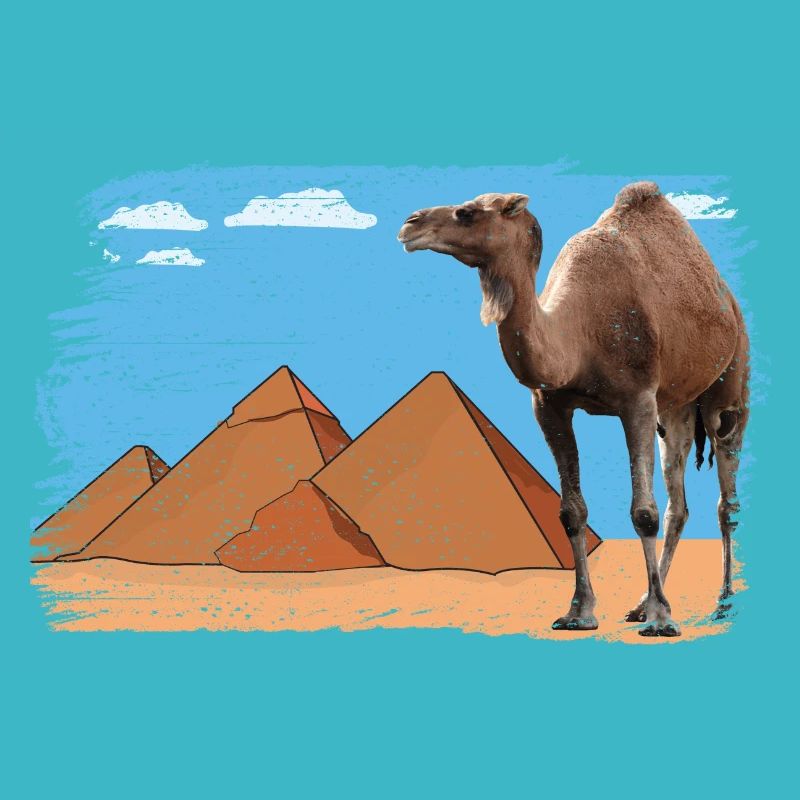 Chameau devant les pyramides