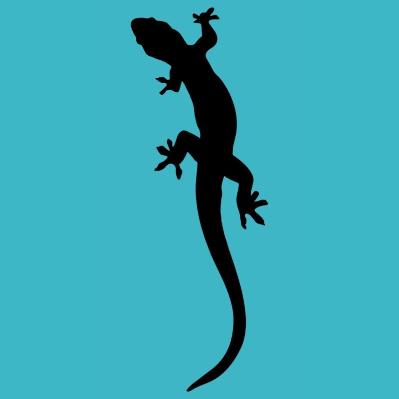 lizard