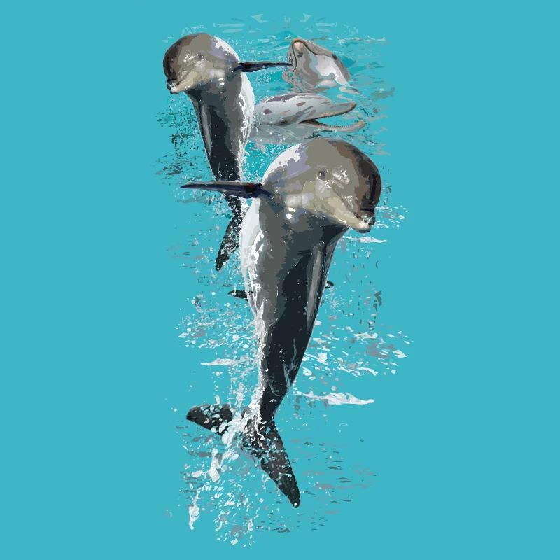 dolphins
