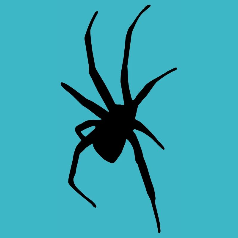 Spider - Araignée