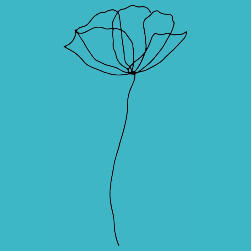 Klatschmohn