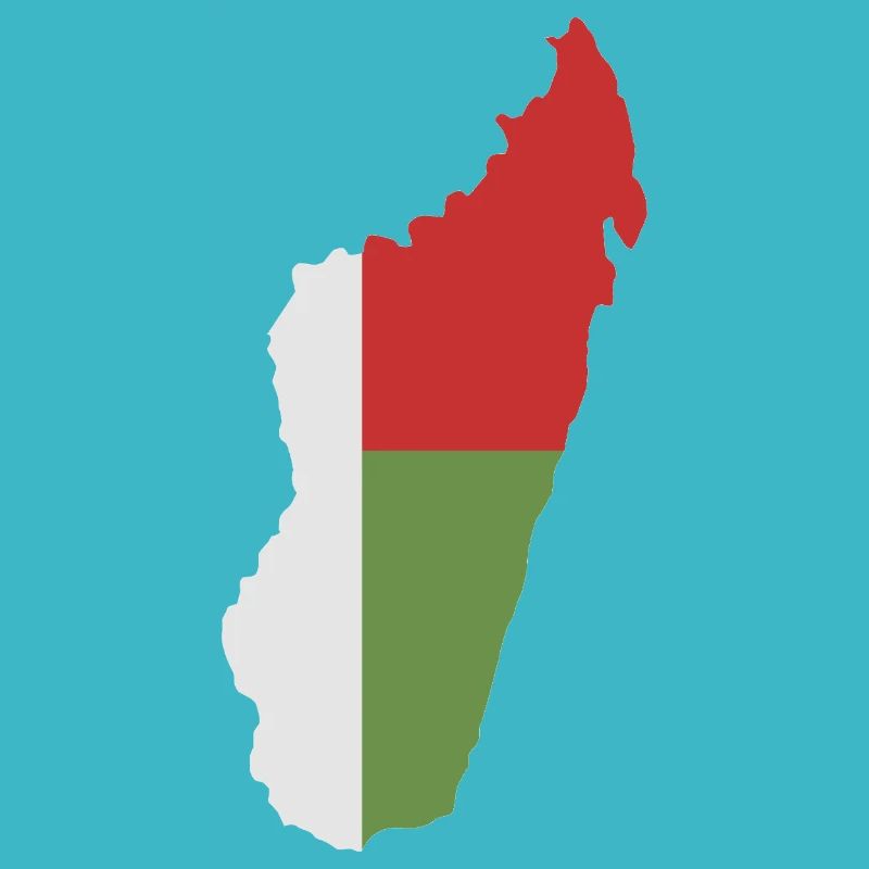 Carte de Madagascar avec drapeau