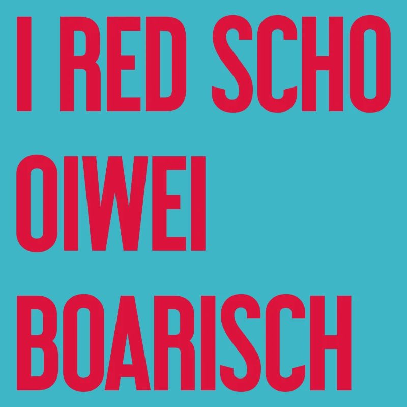 I red scho oiwei boarisch