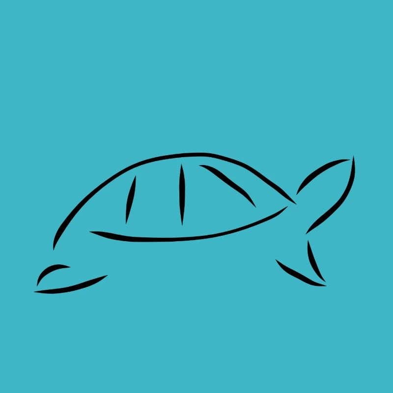 Minimalist turtle