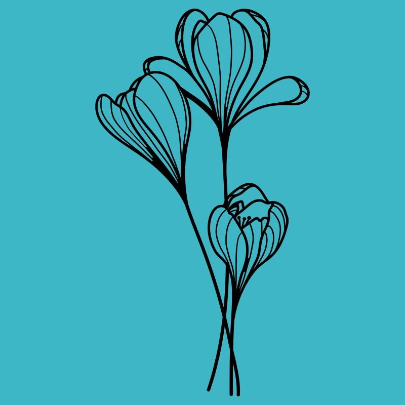 Crocus flower