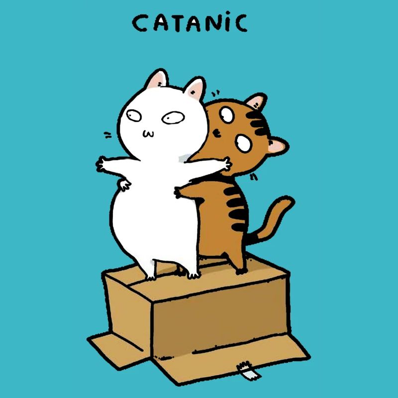 Catanic Main Coon Perser Katze Geschenk