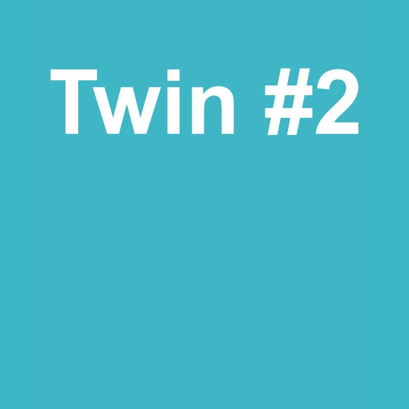 Twin 2 | Zwilling 2