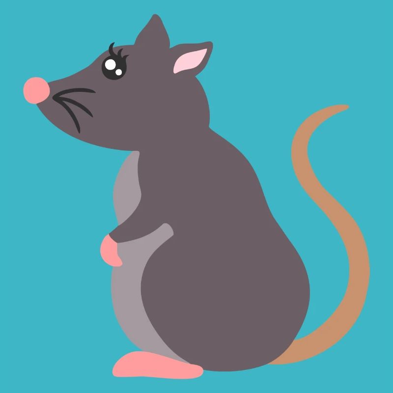rat