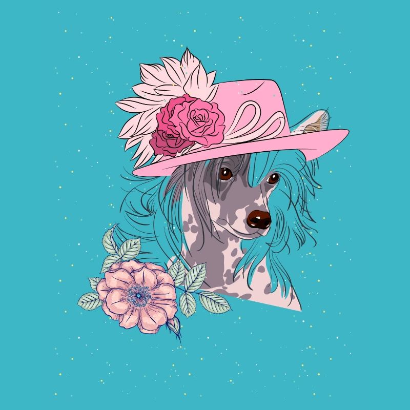 Chinese Crested mit Hut